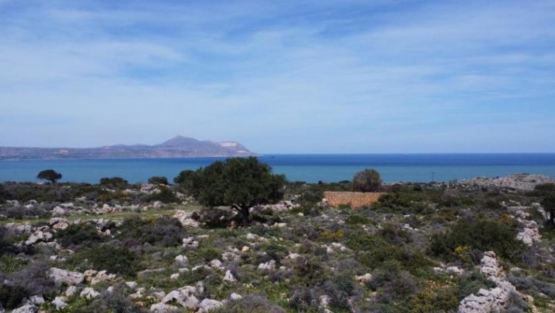 Kokkino Chorio Kreta, Kokkino Chorio: Malerisches Gelände mit Panoramablick aufs Meer zu verkaufen Grundstück kaufen